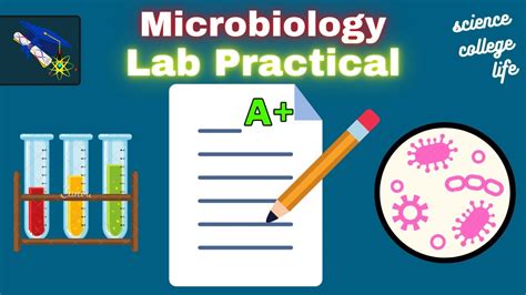 The Virtual Microbiology Classroom provides a wide range of free educational resources. . Mastering microbiology practice test